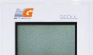 Газовый настенный котел Master Gas Seoul