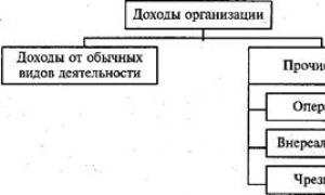 Положение бухгалтерскому учету 18 02